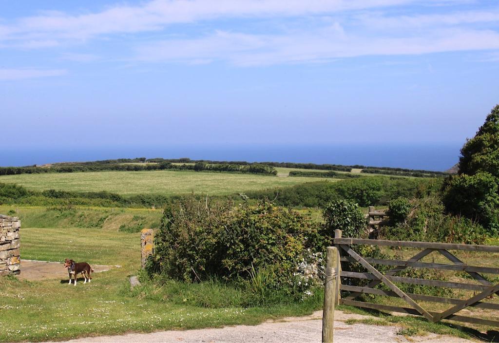 לינה וארוחת בוקר Crackington Haven Higher Tresmorn Farm מראה חיצוני תמונה